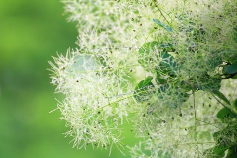 512062ec1d0bcb653ff36dbe59bcb494_1450378245-480x320